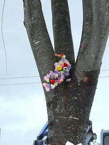 2012_02070001.jpg