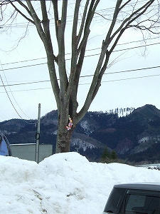 2012_02070003.jpg