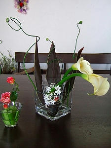 2012_02070006.jpg