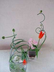 2012_02080006.jpg