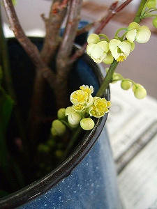 2012_02080002.jpg