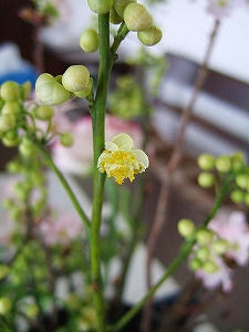 2012_02080003.jpg