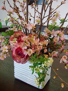 2012_02210008.jpg