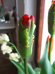 2012_02110008.jpg