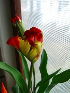 2012_02210001.jpg
