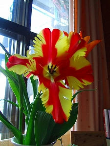 2012_02210010.jpg