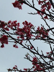 2012_02250004.jpg