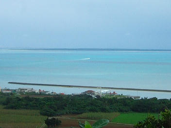 2012_02250062.jpg