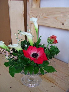2012_03060001.jpg