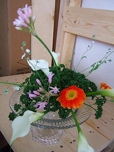 2012_03060002.jpg