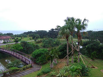 2012_02250086.jpg