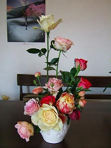 2012_04070010.jpg