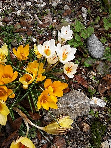 2012_04160004.jpg