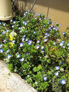 2012_04160006.jpg