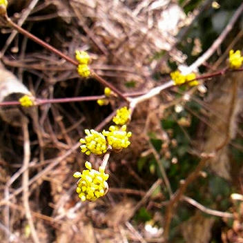 2012_04160011.jpg