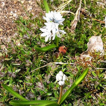 2012_04160012.jpg