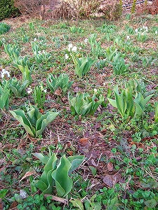 2012_04170006.jpg