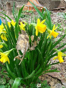 2012_04200003.jpg