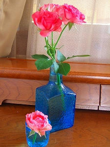 2012_04250003.jpg