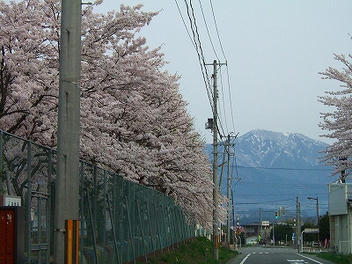 2012_04300006.jpg