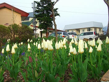 2012_04300012.jpg