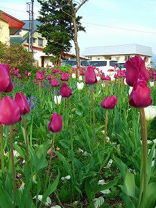 2012_05080018.jpg
