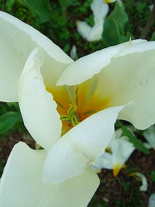 2012_05080020.jpg
