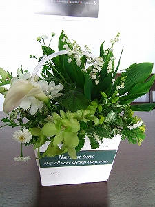 2012_05080003.jpg