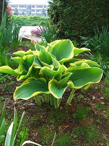 2012_05080021.jpg