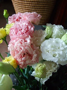 2012_05180004.jpg