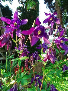 2012_05240005.jpg