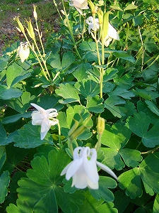 2012_05240008.jpg