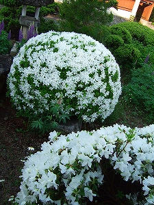 2012_05260003.jpg
