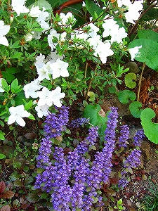 2012_05260009.jpg