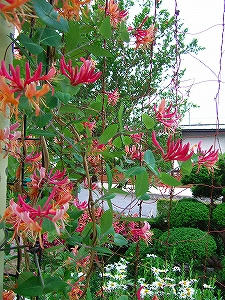 2012_06150011.jpg