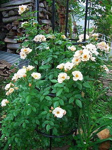 2012_06220003.jpg