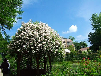 2012_07010017.jpg