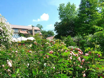 2012_07010018.jpg