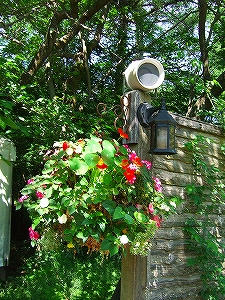 2012_07010019.jpg