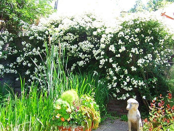 2012_07010021.jpg
