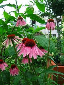 2012_07190004.jpg