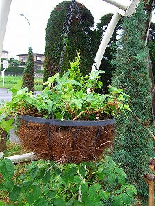 2012_07190006.jpg