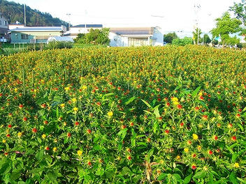 2012_07190019.jpg