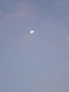 2012_08060004.jpg