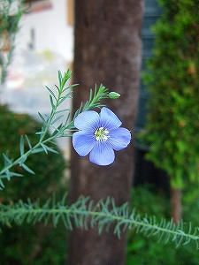2012_08060006.jpg