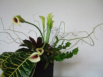2012_08120020.jpg
