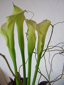 2012_08120024.jpg