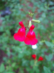 2012_08180001.jpg