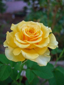 2012_08240002.jpg