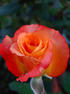 2012_08240004.jpg